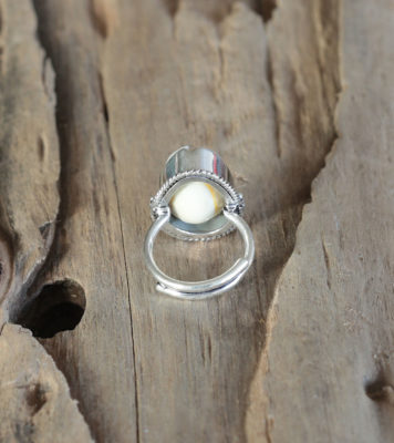 Ring Kauri-Muschel echt Silber